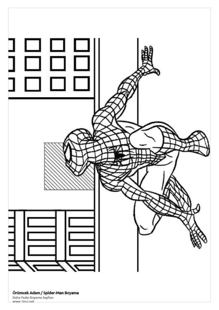 Orumcek Adam Boyama Spider Man 1inci.net 46