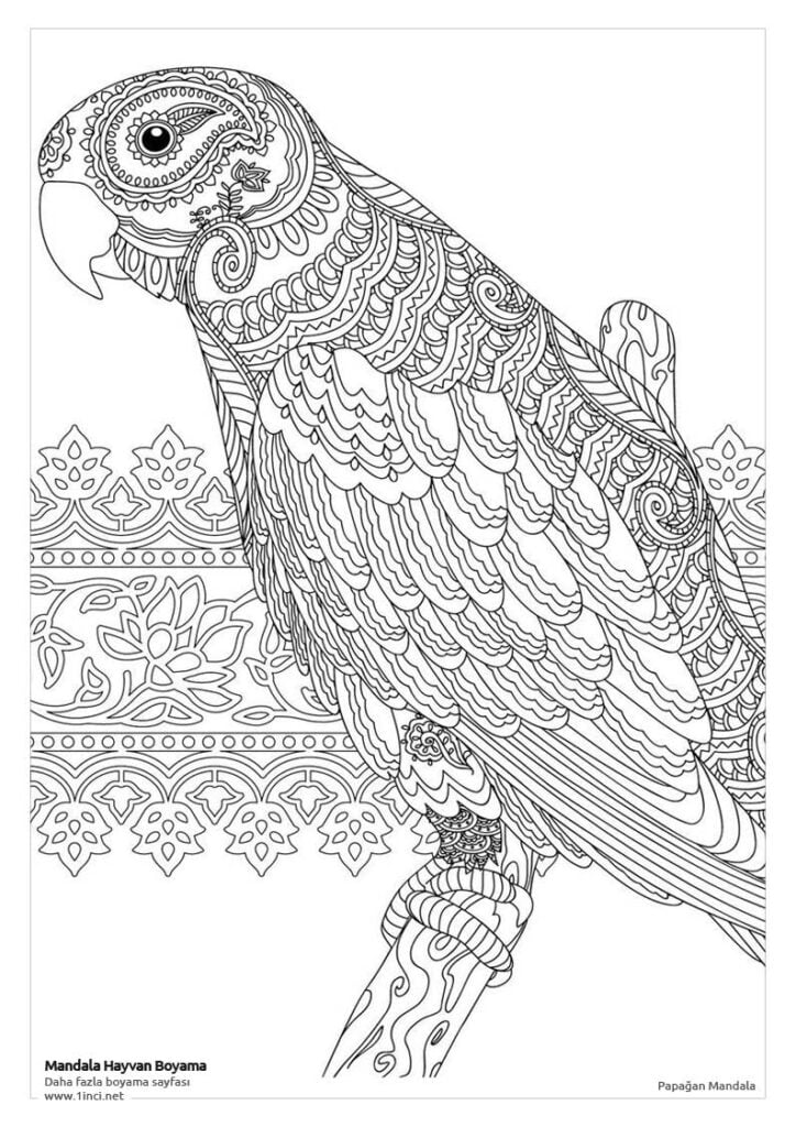 Papagan Hayvanlar Mandala Boyama Sayfalari 1inci.net 134