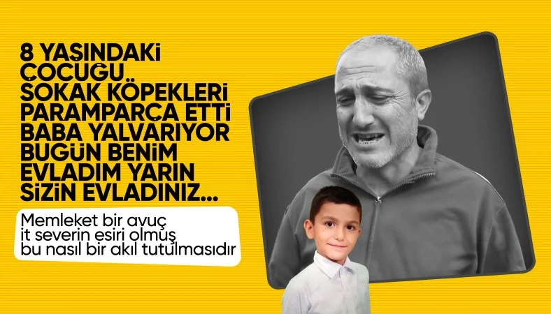 Ankarada Sokak Kopeklerinin Saldirisinda Agir Yaralanan Cocugun Babasi Isyan Etti www.1inci.net 4